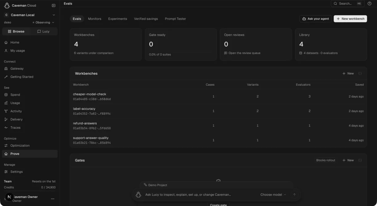 Real Caveman evaluation workspace showing datasets and evaluation runs in a seeded demo.
